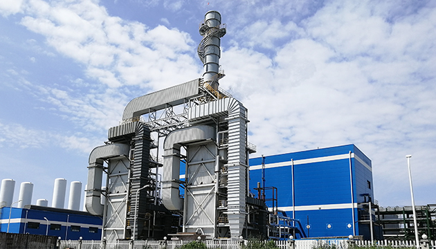 Stake(�й���)�ٷ���վ